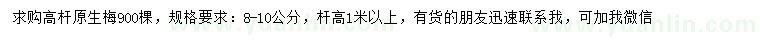 求購8-10公分高桿梅