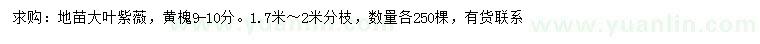 求購(gòu)9-10公分大葉紫薇、黃槐