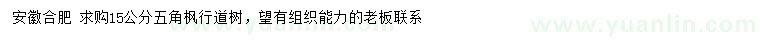 求購(gòu)15公分五角楓