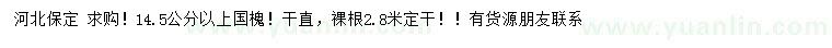 求購14.5公分以上國槐