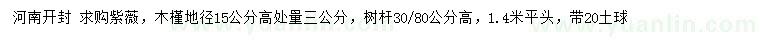求購(gòu)地徑15公分量高3公分紫薇、木槿