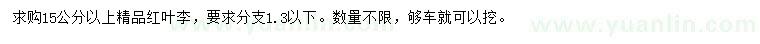 求購15公分以上精品紅葉李