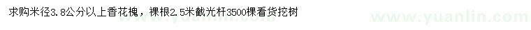 求購米徑3.8公分以上香花槐