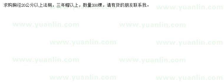 求購(gòu)胸徑20公分以上法桐