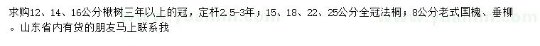 求購楸樹、法桐、垂柳