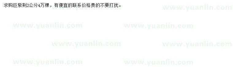 求購2公分巨紫荊