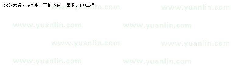 求購米徑3公分杜仲