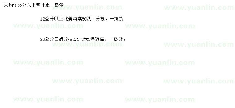 求購(gòu)紫葉李、北美海棠、白蠟