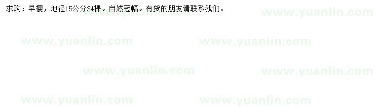 求購地徑15公分早櫻