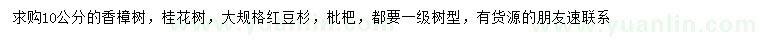 求購香樟、桂花、紅豆杉等