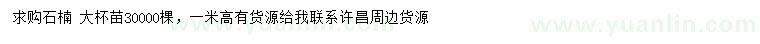 求購高1米石楠
