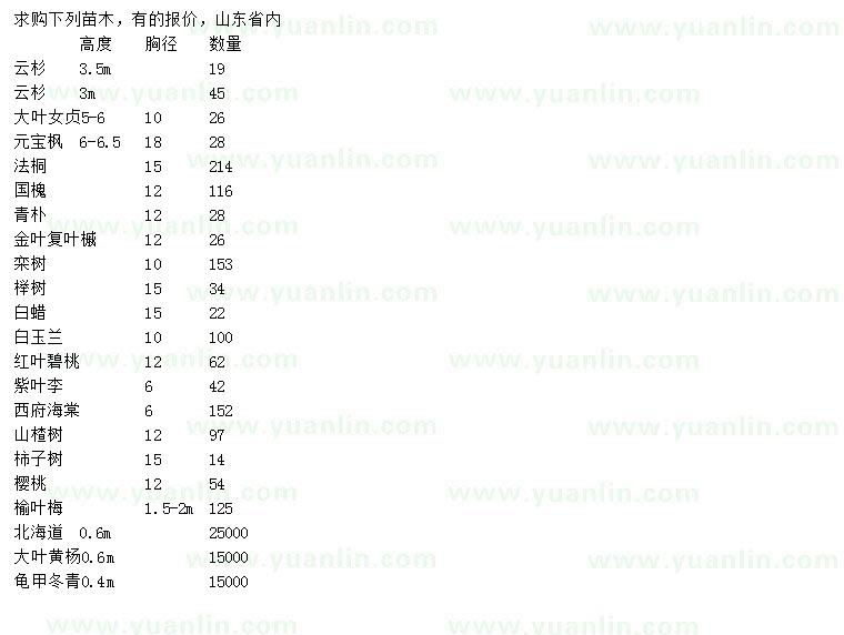 求購云杉、大葉女貞、元寶楓等