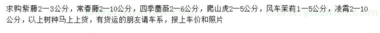 求購(gòu)紫藤、常春藤、四季薔薇等