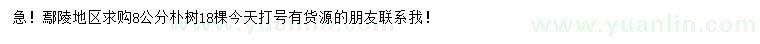 求購8公分樸樹