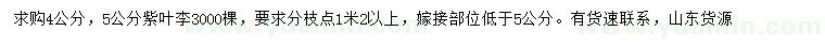 求購(gòu)4、5公分紫葉李