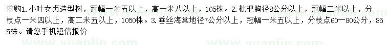 求購小葉女貞、枇杷、垂絲海棠