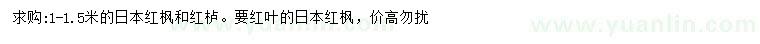 求購1-1.5米日本紅楓、紅櫨