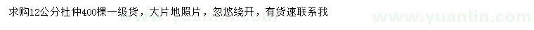 求購12公分杜仲