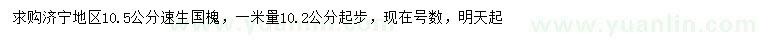 求購(gòu)1米量10.5公分速生國(guó)槐