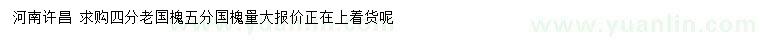 求購4、5公分老國槐