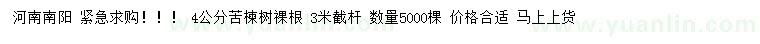 求購(gòu)4公分苦楝