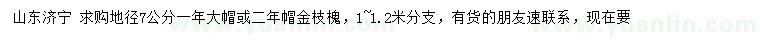 求購地徑7公分金枝槐