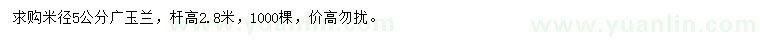 求購米徑5公分廣玉蘭