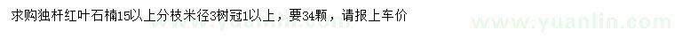 求購15公分以上獨(dú)桿紅葉石楠