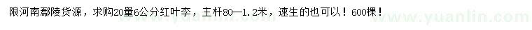 求購20量6公分紅葉李
