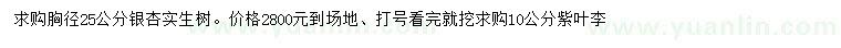 求購25公分銀杏、10公分紫葉李