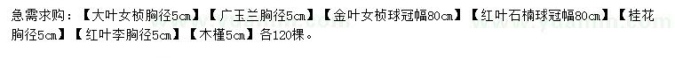 求購大葉女貞、廣玉蘭、金葉女貞等