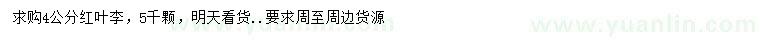 求購4公分紅葉李