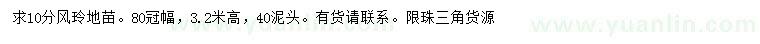 求購10公分風玲地苗