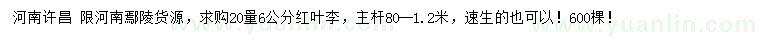 求購河20量6公分紅葉李