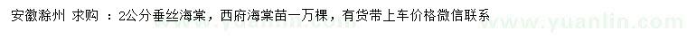 求購2公分垂絲海棠、西府海棠