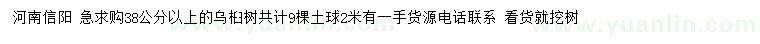 求購(gòu)38公分以上烏桕