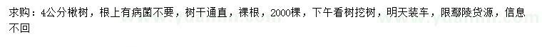 求購(gòu)4公分楸樹