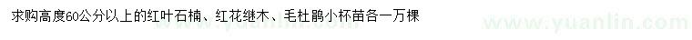 求購紅葉石楠、紅花繼木、毛杜鵑