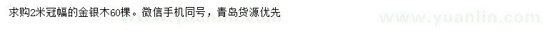 求購冠幅2米金銀木
