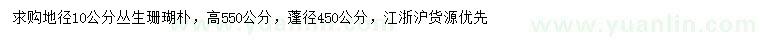 求購地徑10公分叢生珊瑚樸