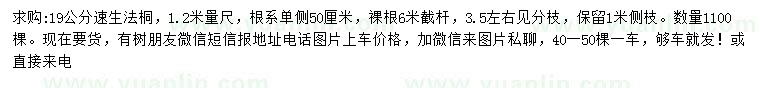 求購(gòu)1.2米量19公分速生法桐