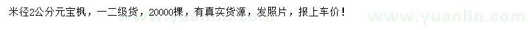 求購(gòu)米徑2公分元寶楓