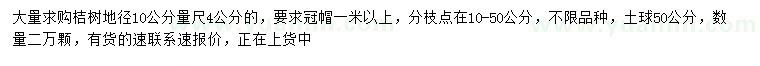 求購10公分量4公分桔樹