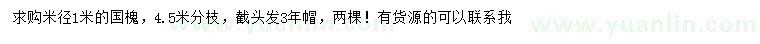 求購米徑1米國槐