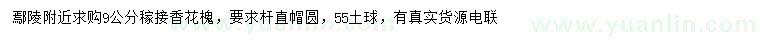 求購9公分稼接香花槐