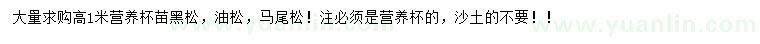 求購(gòu)黑松小苗、油松小苗、馬尾松小苗