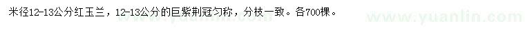 求購(gòu)米徑12-13公分紅玉蘭、12-13公分巨紫荊