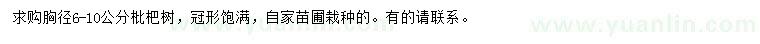 求購胸徑6-10公分枇杷樹