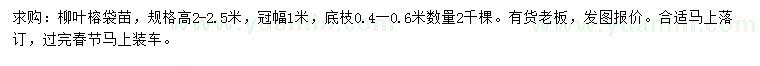 求購高2-2.5米柳葉榕