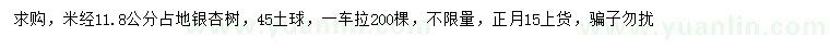 求購米徑11.8公分占地銀杏